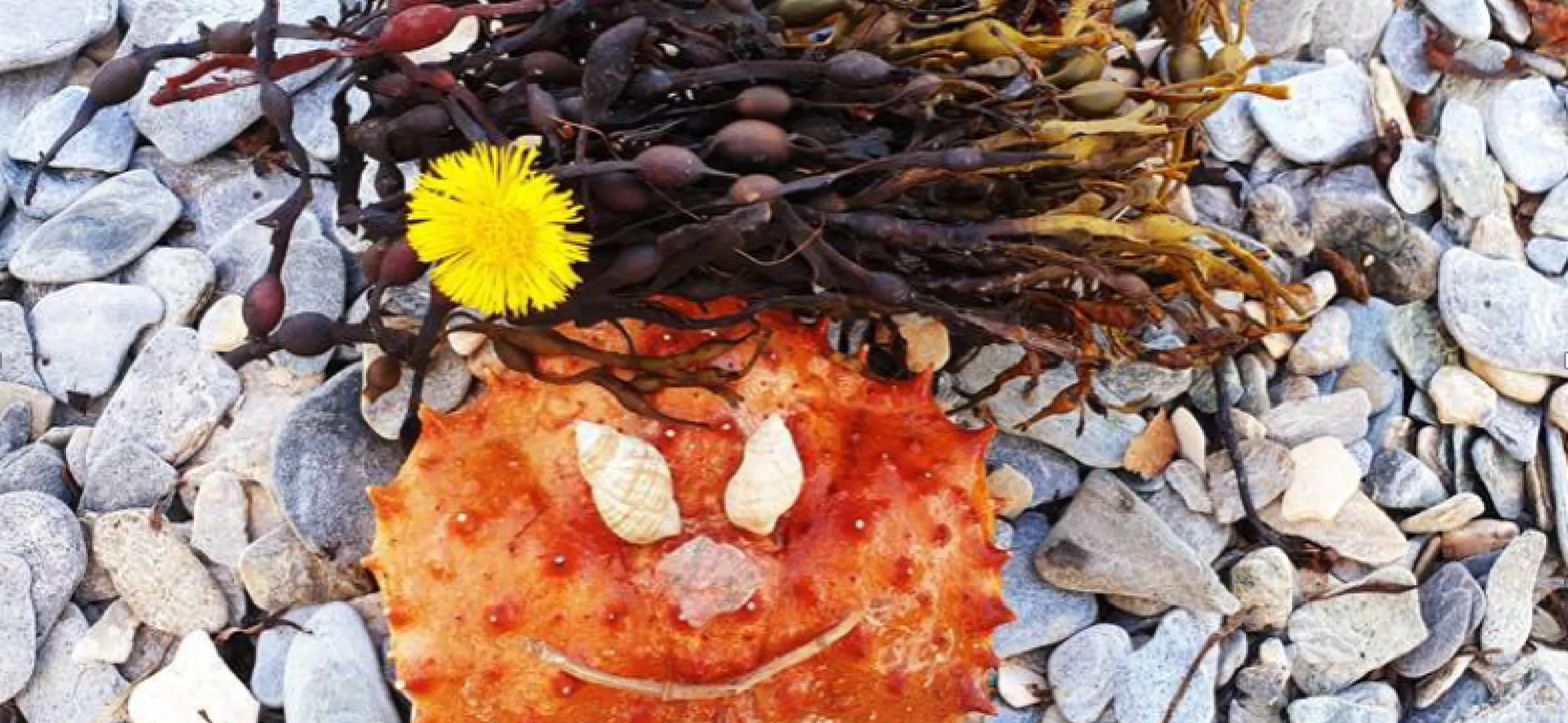 Din stemme teller - workshop med UiT