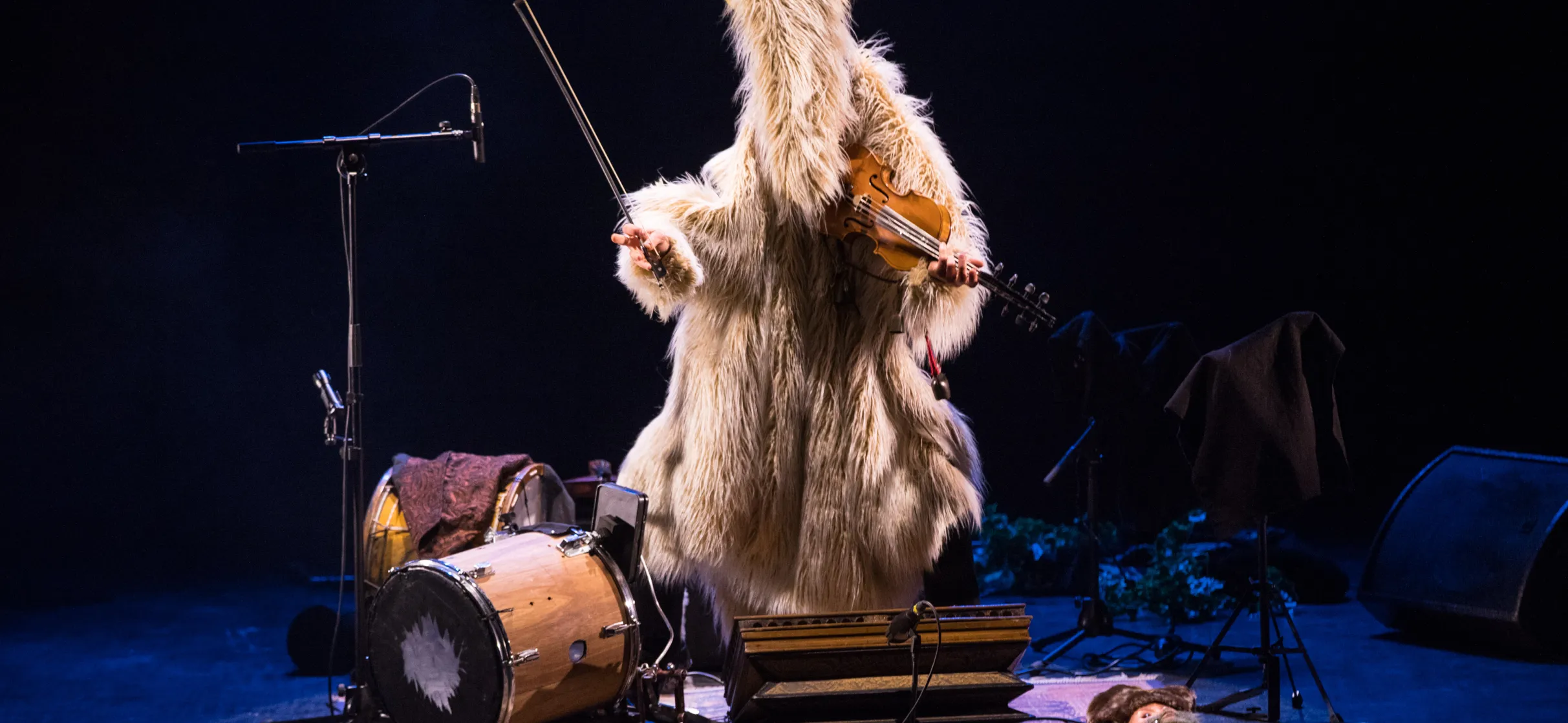 Cavalcade en Cocazie Crédit Photo Thierry Guillaume