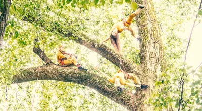 Aeldre Foto: Love Aamås Kjellsson